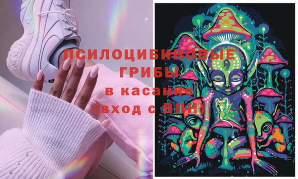 ПСИЛОЦИБИНОВЫЕ ГРИБЫ Абаза