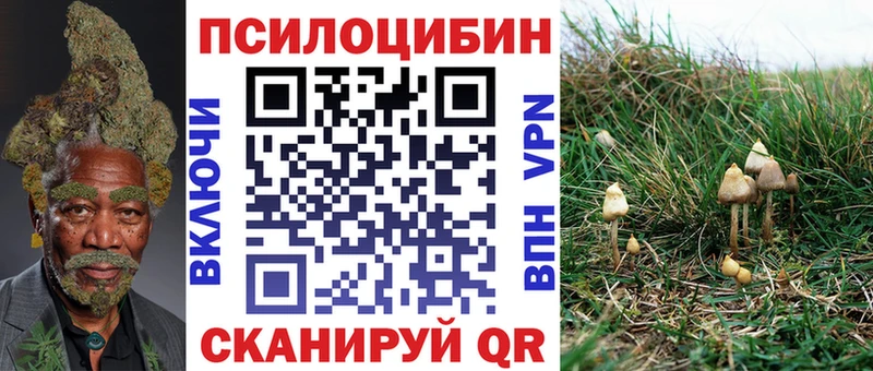 Галлюциногенные грибы GOLDEN TEACHER  Нижняя Тура 